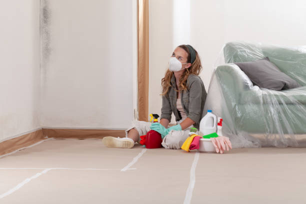 Reliable Mold Testing contractor in Byron Center, MI by WQB Mold Removal