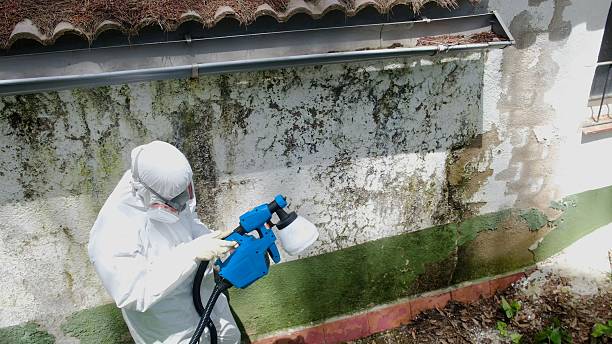 Top rated local Mold Testing specialists in Byron Center, MI